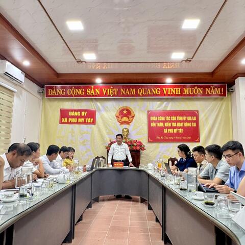 Đoàn công tác Tỉnh ủy Gia Lai thăm, kiểm tra hoạt động tại xã Phù Mỹ Tây